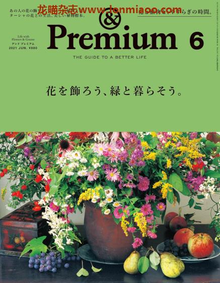 [日本版]&Premium 女性美好生活指南PDF电子杂志 2021年6月刊